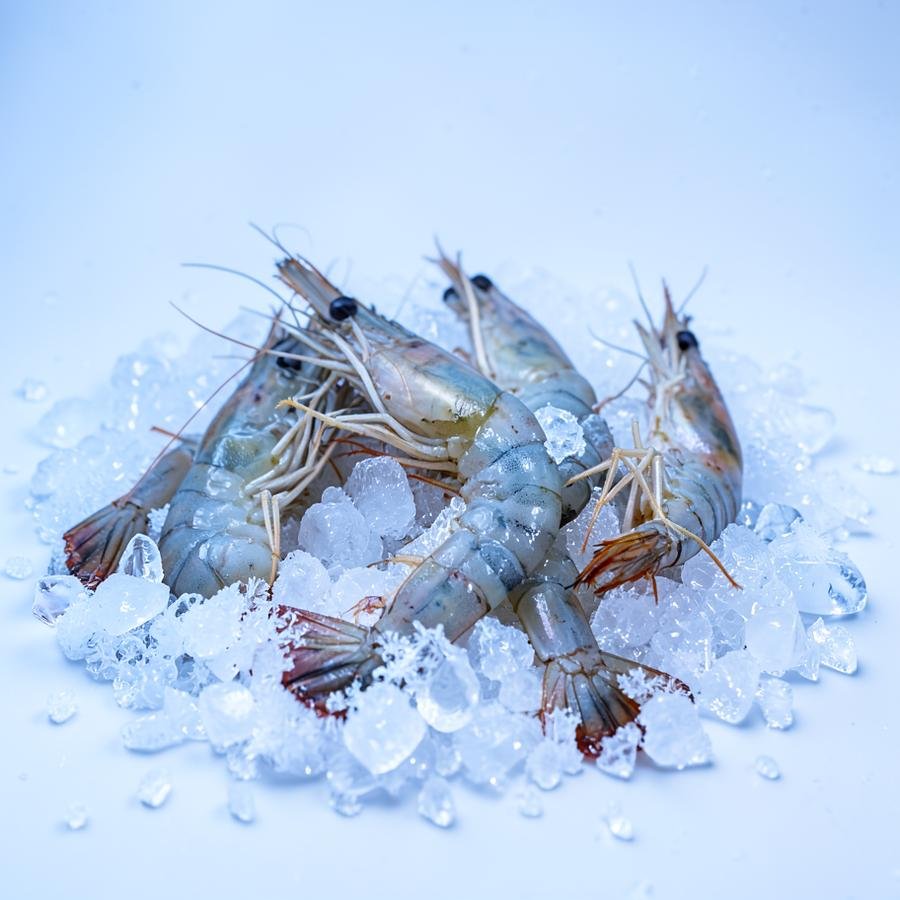 Whole prawns on crushed ice